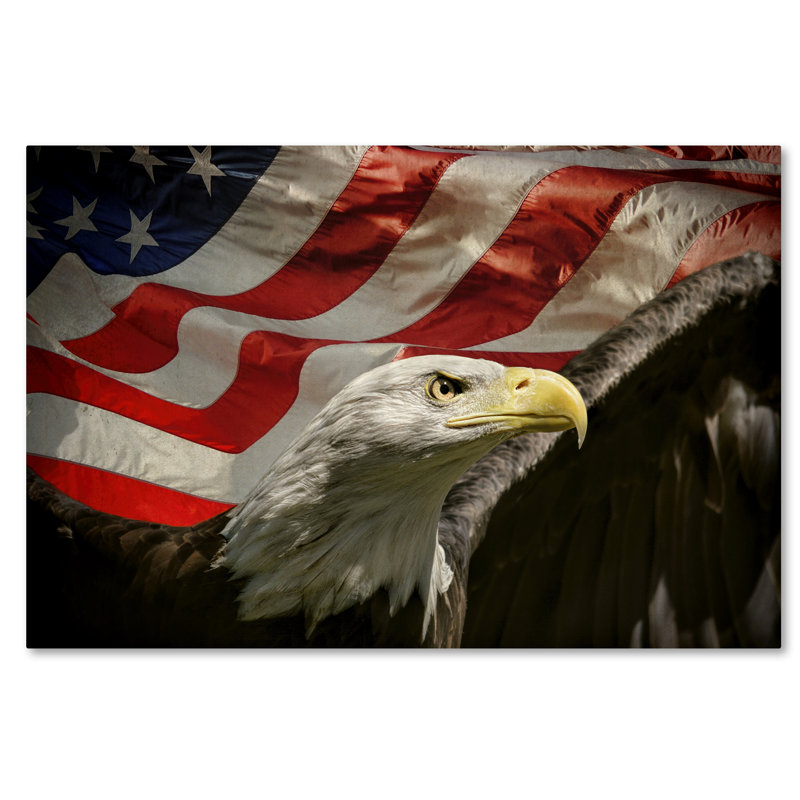 Art mural sur toile tendue - «American Eagle» par Jai Johnson pour décoration de salon, de chambre à coucher ou de bureau - 22 x 32