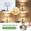 Delvante Metal USB Table Lamp