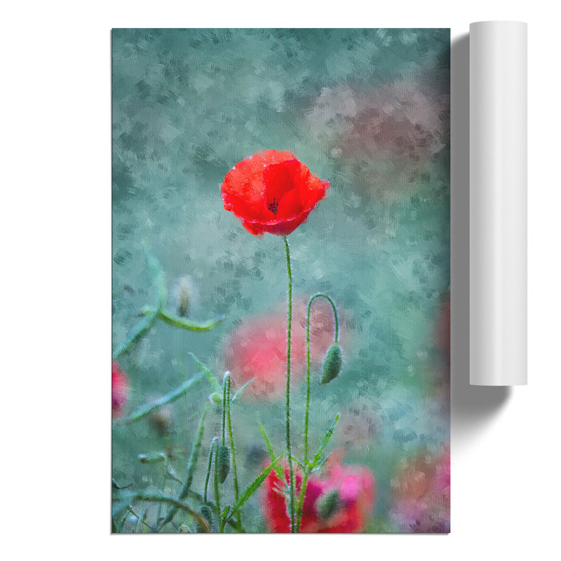 A Lone Poppy Flower - No Frame Print, 30cm H x 21cm W x 0.1cm D