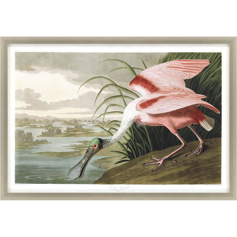 Art mural encadré argenté Roseat Spoonbill