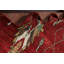 Tapis rouge marocain rouge noué à la main 7 x 11