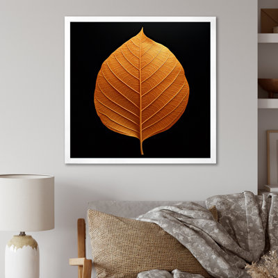Feuillage tangerine orange érable translucide II