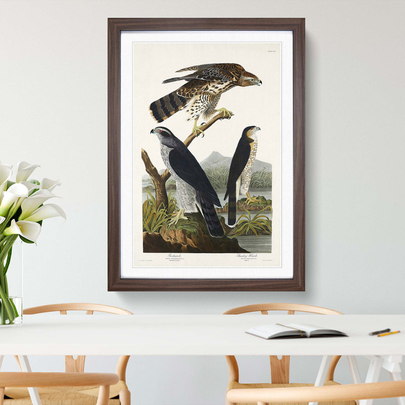 Goshawks & Stanley Hawk by John James Audubon - Picture Frame Painting Print, 48cm H x 36cm W x 2cm D, Walnut Framed