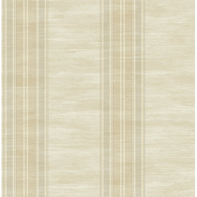 Rouleau de papier peint à rayures Bipasha Stria L 33 pi x l 20,5 po