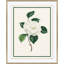 Flora III Giclee Print