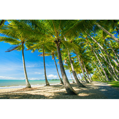 Palmiers sur la plage de Mvaligursky - Photographie sur toile tendue