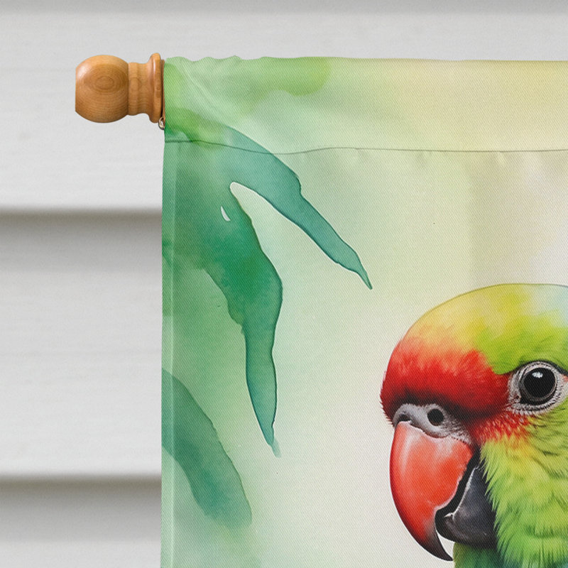House Flag, Blue African Ringneck Parrot