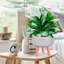 Plaited Style Bowl Planter with Feet-916595666-916595665