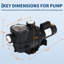 Pompe de piscine à double puissance haute performance GarveeHome - Pompe de circulation électrique 2 HP, auto-amorçante, moteur en cuivre robuste à vitesse unique avec panier-filtre, 100 gallons par minute - pour piscines hors terre / creusées