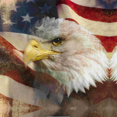 Aigle patriotique - peinture sur toile tendue