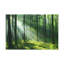 No Frame Print on Canvas