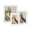 Lilly White Picture Frame