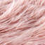 Throw Blanket-640165008