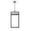 Luminaire suspendu d'extérieur 1 lumière DEL Estaugh Estaugh