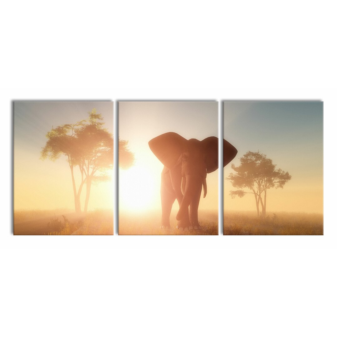 3-tlg. Leinwandbilder-Set Elephant in the Desert