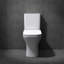 Close Coupled Toilet 