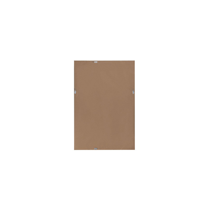 Ameesha Plastic Flat Mirror, 91cm H x 51cm W