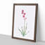 Bugle Lily in Pink by Pierre-Joseph Redoute - Picture Frame Art Print-55513313-55513315