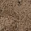 Bancroft Area Rug in Brown And Tan-1317392828