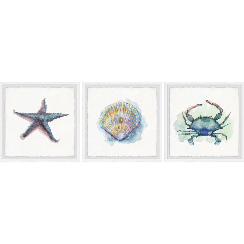 Lucero Sea Shore Gems by Marmont Hill - 3 Piece Single Picture Frame Painting, 61cm H x 61cm W