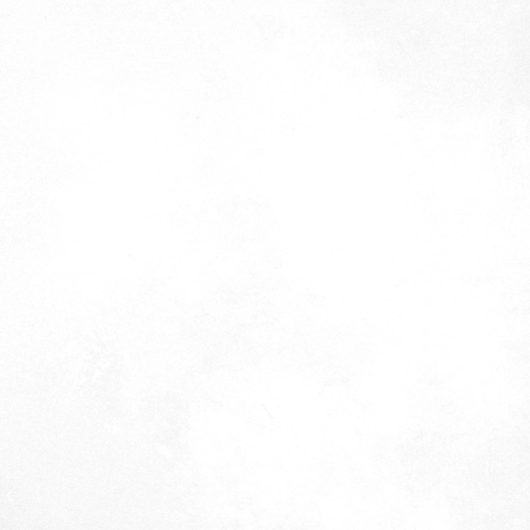 Literary License 24'' W x 24'' L Porcelain Concrete Look Singular Tile PIXL 