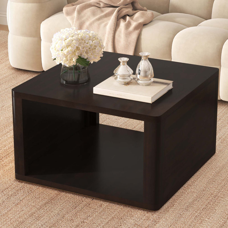 Table basse carrée pour le salon, table basse avec rangement, table centrale à 2 niveaux avec compartiment de rangement semi-ouvert de 30,8 po