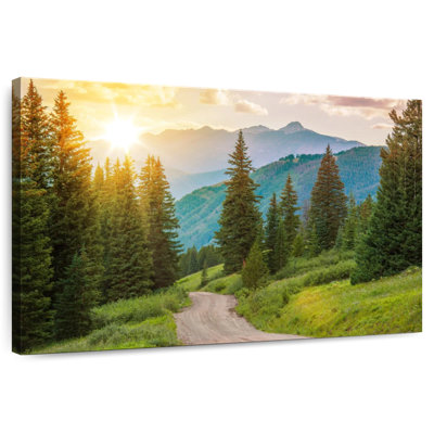 Alvord Colorado Pine Forest