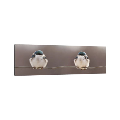 Birds On A Wire by Lucie Gagnon - Wrapped Canvas Panoramic Gallery-Wrapped Canvas Giclée