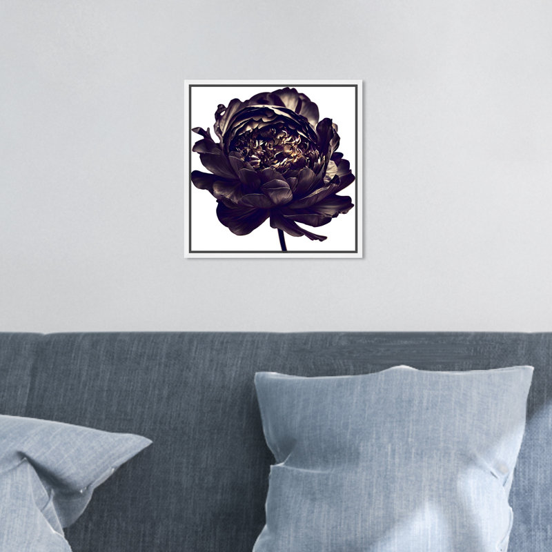 Pivoine noire - Impression sur toile, H 13 po x l 13 po, Cadre blanc