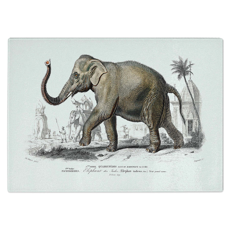 Tempered Glass Asian Elephant Chopping Board, 39 cm W x 28.5 cm L