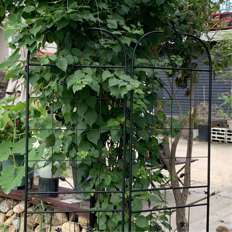 Treillis de jardin Annetta