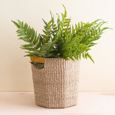 Octagon Basket