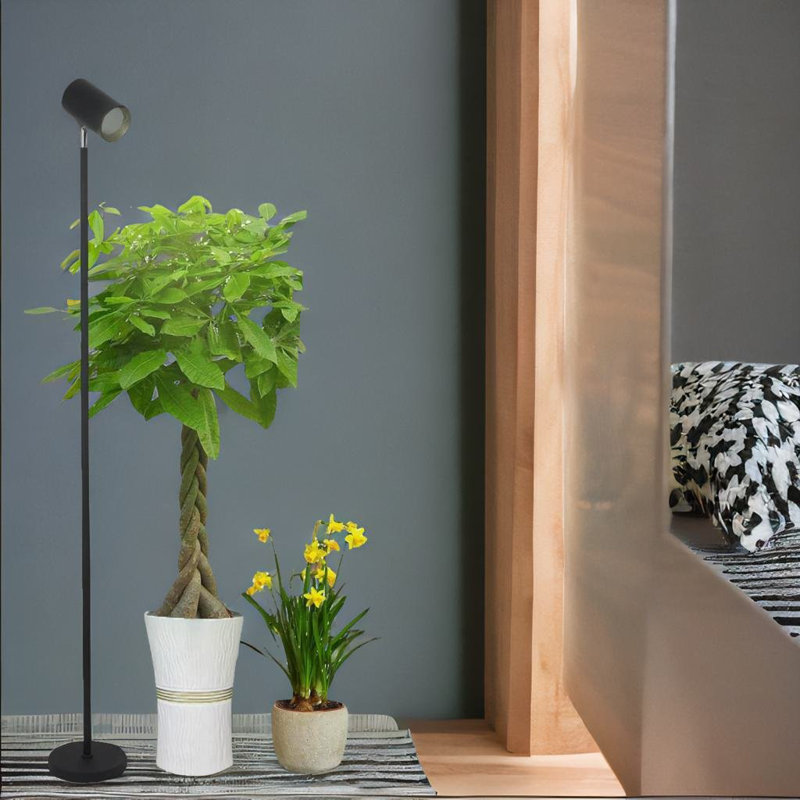 Iuza 75'' LED Task Floor Lamp
