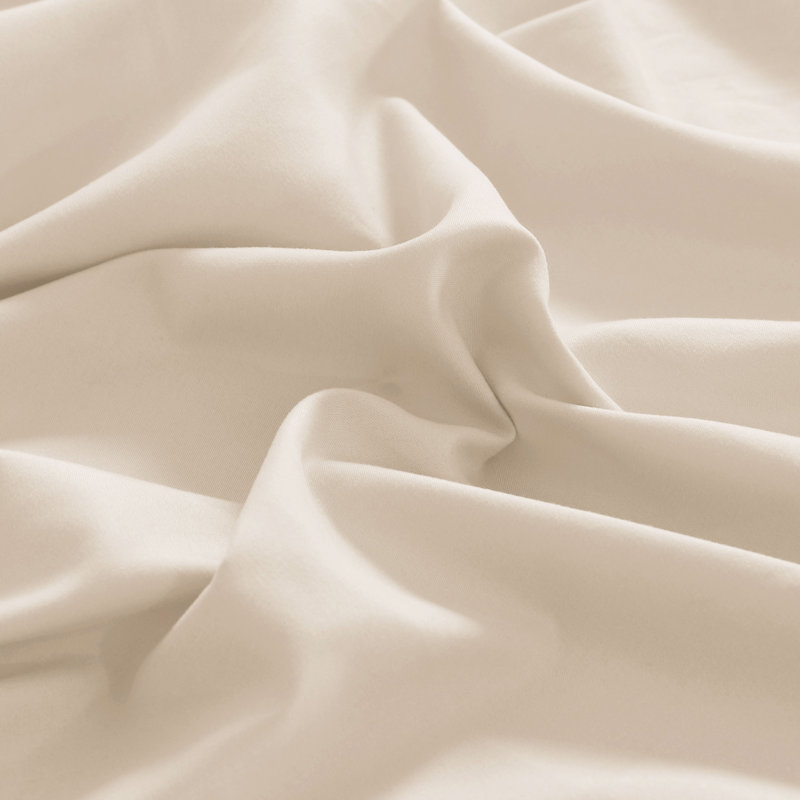 Drap simple en microfibre douce Wayfair Basics® 1800 Series, Drap plat de taille double, Crème