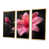Toile avec cadre flottant or