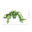 Ivy In Glass Vase With Grass