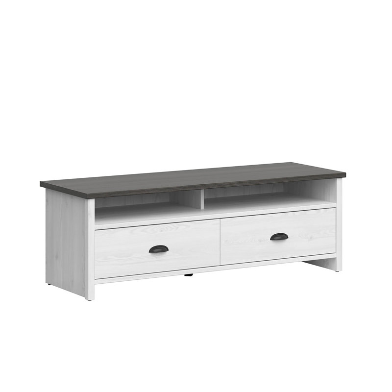 Eagan TV Stand with Storage