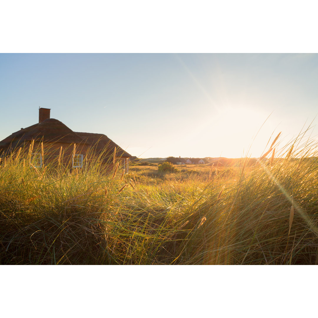 Sonnenuntergang in der Düne von Rike_ - Drucken