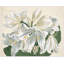 White Blooms 2' Framed Print on Canvas