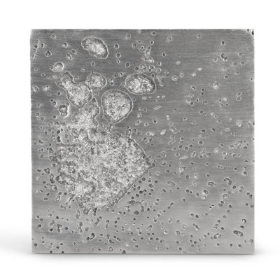 Splotch Wall Décor