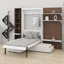 Murphy Bed-537798792