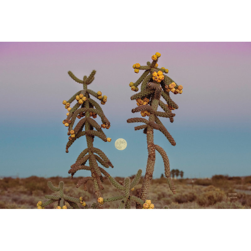 Desert Moonrise by Nathan Larson - Wrapped Canvas Art Prints, 30cm H x 46cm W x 3.8cm D