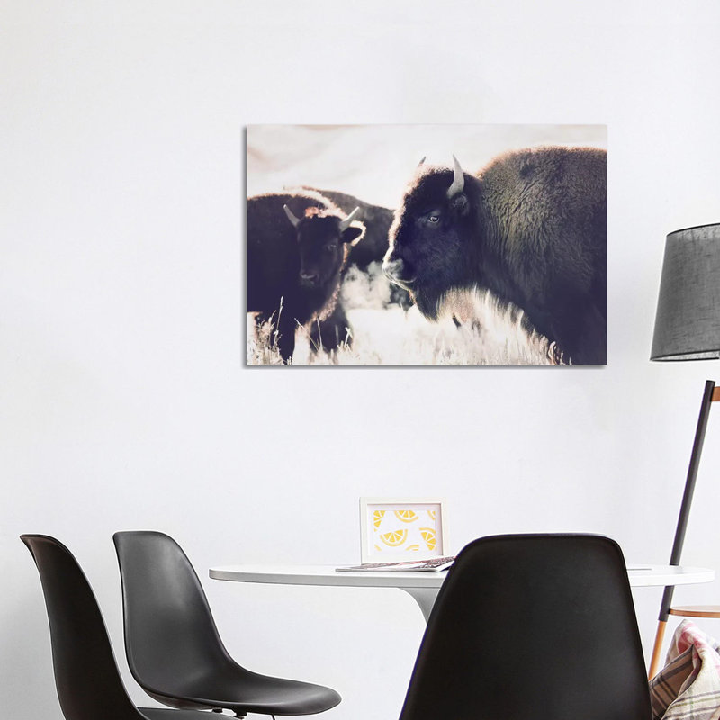 Buffalo by Sisi & Seb - Wrapped Canvas Print, 101.6 cm H x 66.04 cm W x 3.175 cm D