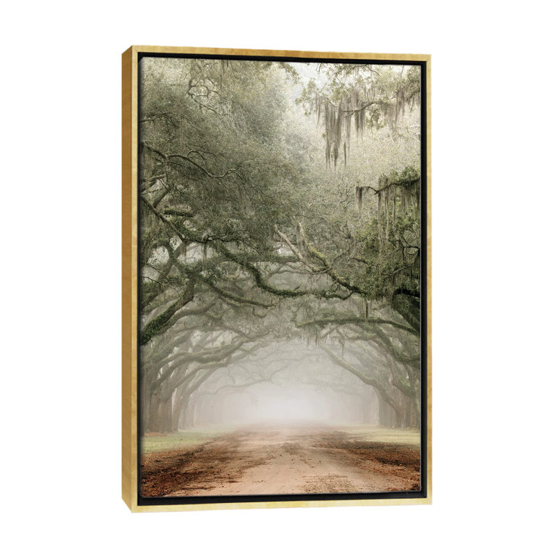 Plantation Drive, 26" H x 18" W x 1.5" D, Gold Floater Framed Canvas