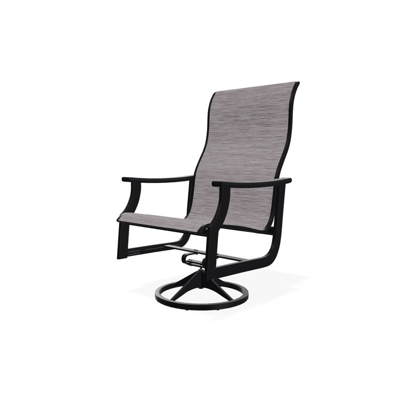 St. Catherine Polymer Outdoor Lounge Chair, Black, Augustine Shadow