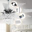 Roselli 132cm Ceiling Fan with Light Kit