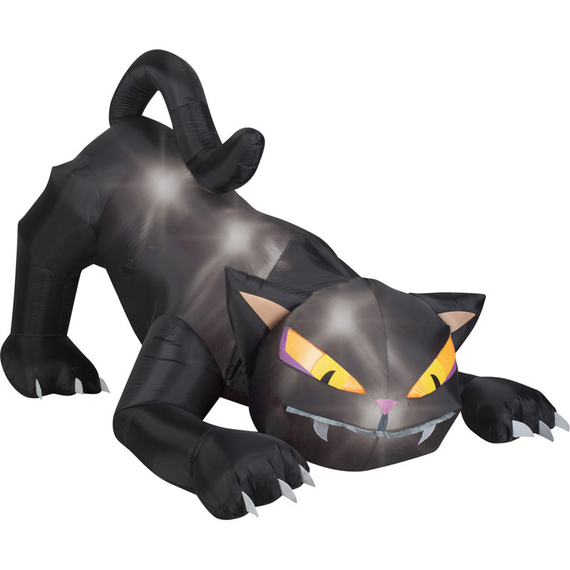 Tête tournée - scène de chat noir, grand