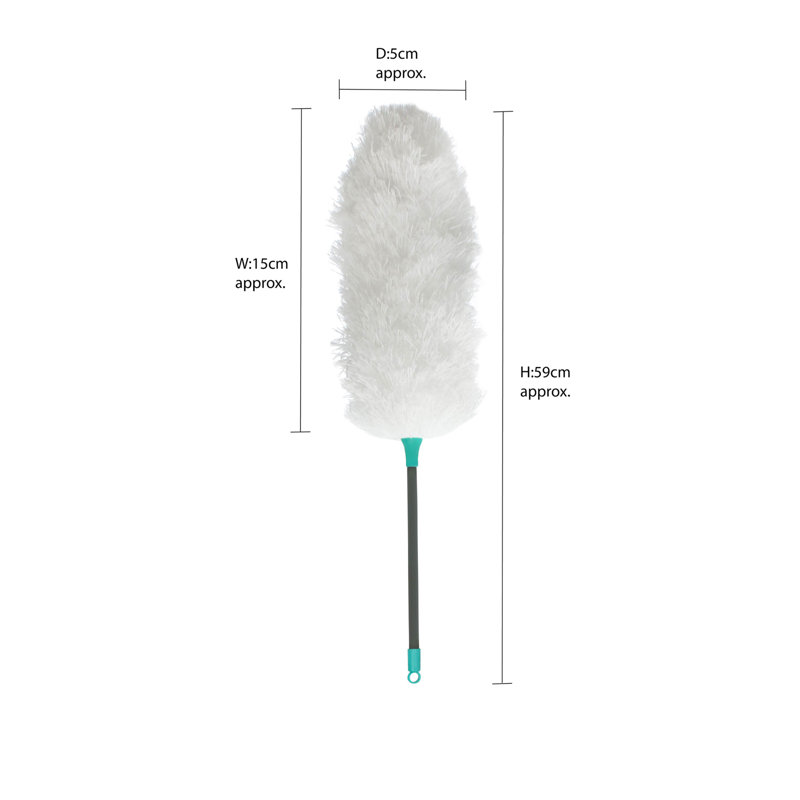 Dailonis Mop, Turquoise