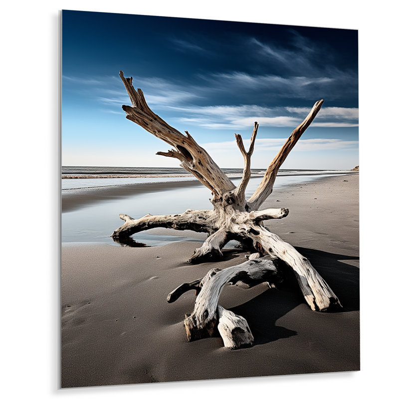 " Beach Driftwood Photo I ", 20" H x 12" W