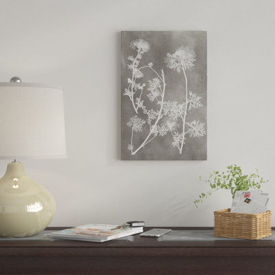 «Herbarium Study IV» par Vision Studio - Estampe numérique sur toile tendue avec châssis